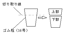 06年５月例会 物理教育実践交流会